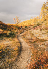 Road amidst plants against sky during autumn