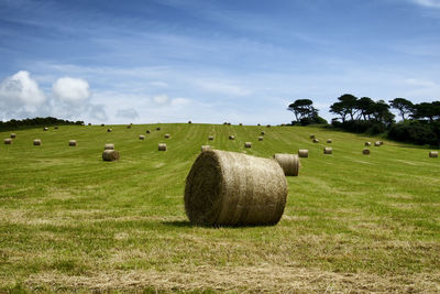 Hay bales on field against sky