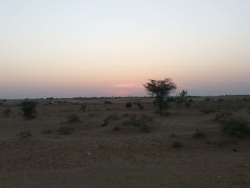 Scenic view of beach against clear sky