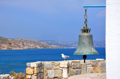 Seagull on a rock against sea