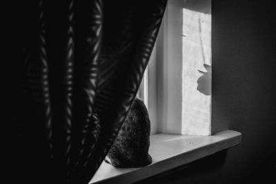 Close-up of cat sitting on window sill