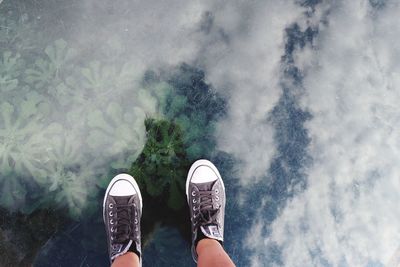 Low section of person standing by tree against sky