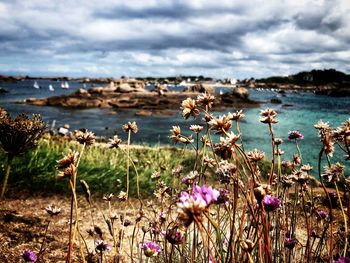 Scenic view of sea against sky