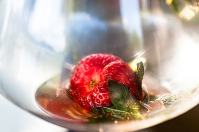 Close-up of strawberry in plate on table