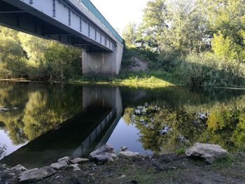 Bridge over lake against trees