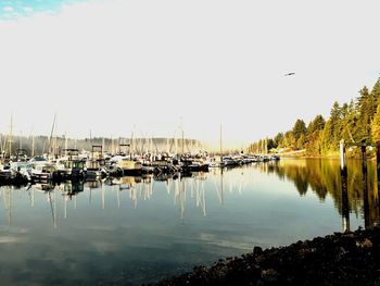 Boats moored in calm sea