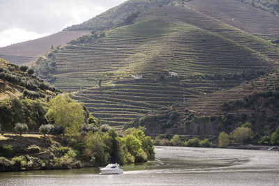 Scenic view of agricultural field against mountains