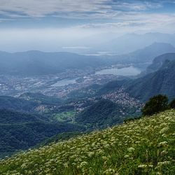 Scenic view of landscape against sky