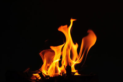 Close-up of bonfire at night