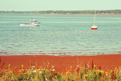 Scenic view of calm sea