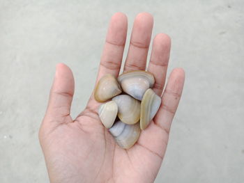 Close-up of hand holding eggs