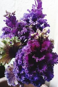 Close-up of purple flowers