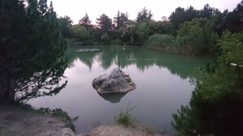 Reflection of trees in lake against sky