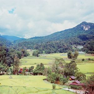 Scenic view of field against sky