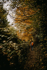 Rear view of people walking in forest during autumn