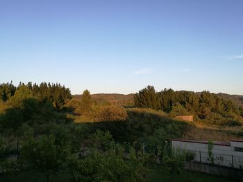 Scenic view of landscape against blue sky