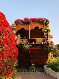 Low angle view of potted plants against building