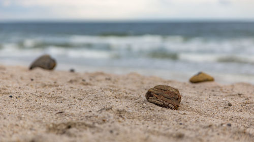 Close-up of rock on beach against sky