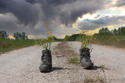 Low section of person standing on land against sky