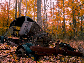 Abandoned car in forest during autumn