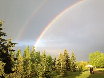 People standing on grassy field