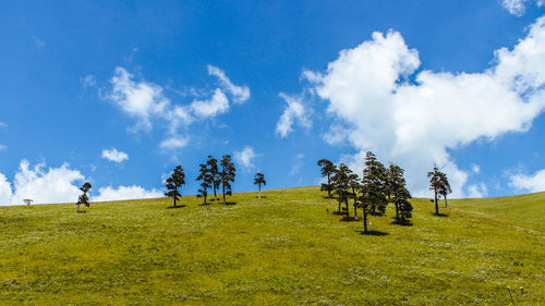 sky