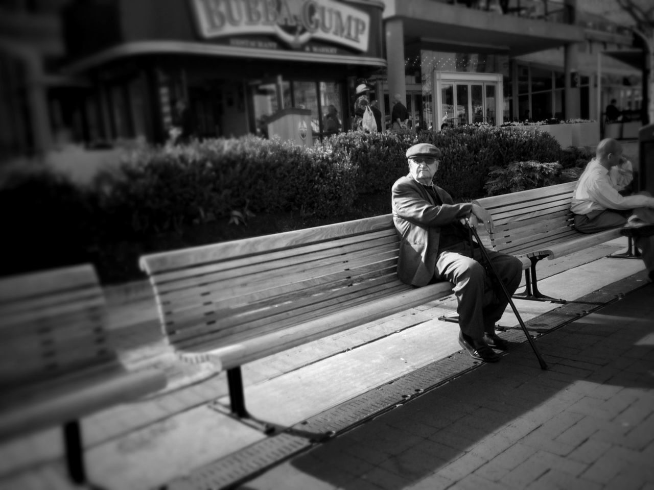 bench, building exterior, built structure, tree, full length, chair, focus on foreground, table, outdoors, day, lifestyles, architecture, sitting, incidental people, side view, leisure activity, rear view, men