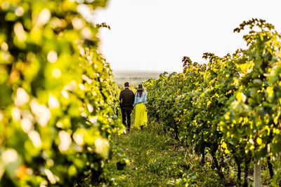 Rear view of people walking on plants