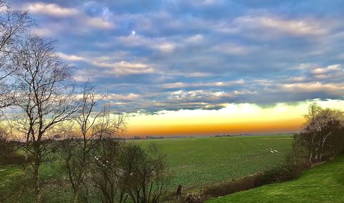 Scenic view of field against sky during sunset