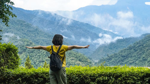 Rear view of person standing on mountain