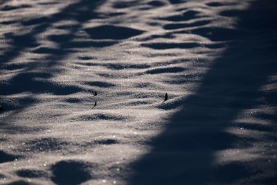 Sunlight falling on sandy field