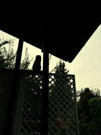 Low angle view of silhouette trees against sky