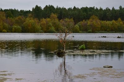 Scenic view of lake