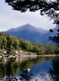 Scenic view of lake