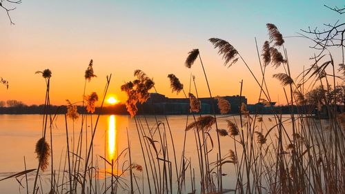 Scenic view of lake during sunset