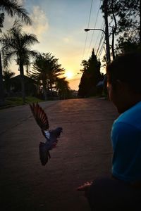 Silhouette of people in park at sunset