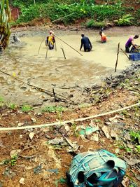 People working on field