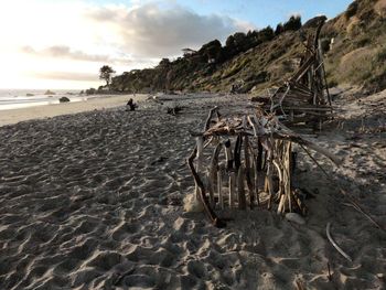 Driftwood on beach against sky