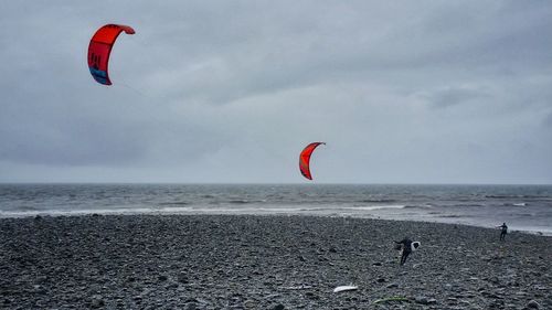 Person paragliding on beach against sky