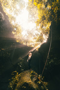 Person on rock by trees in forest against sky