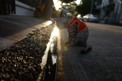 Man working on street