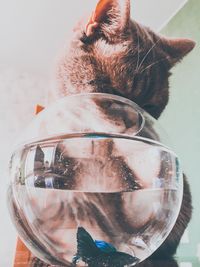 Close-up of drinking glass on table