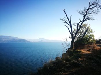 Scenic view of sea against clear blue sky