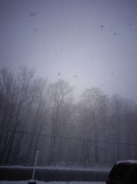 Snow covered bare trees against sky during rainy season