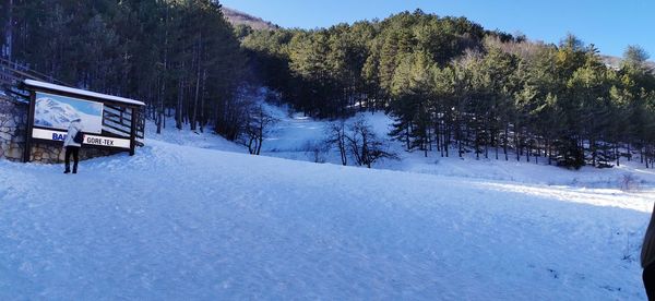 Trees on snow covered field