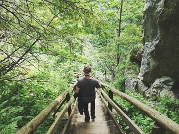 Rear view of man walking on steps amidst trees at forest