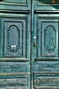 Closed green old door