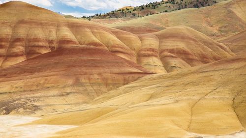 Scenic view of desert