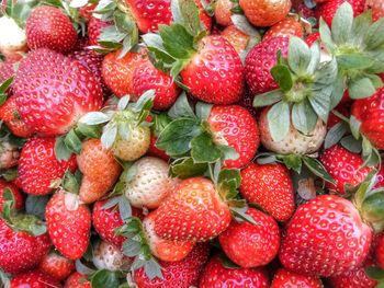 Full frame shot of strawberries