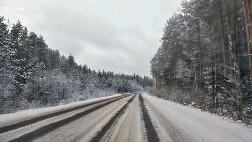 Road by trees against sky during winter